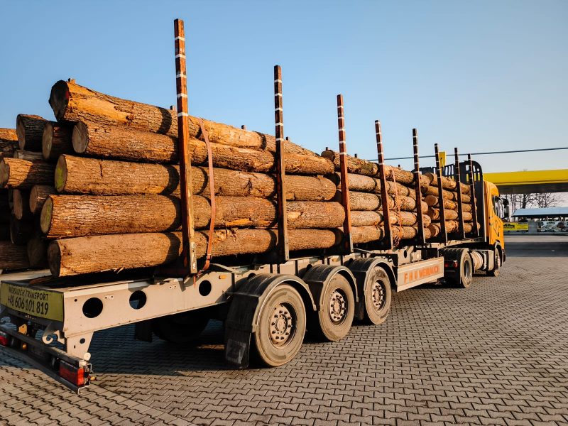 ROUND OAK WOOD WITH BARK 