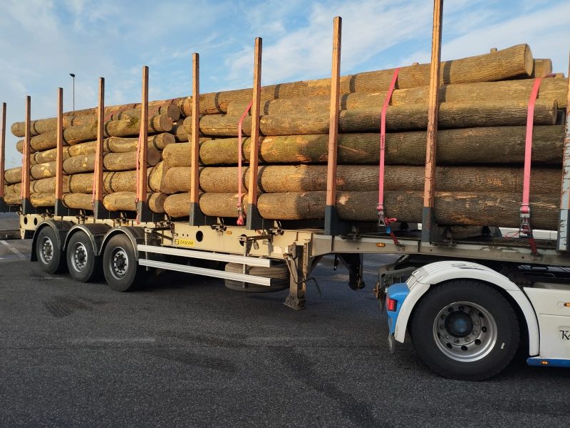 ROUND ASH WOOD WITH BARK 