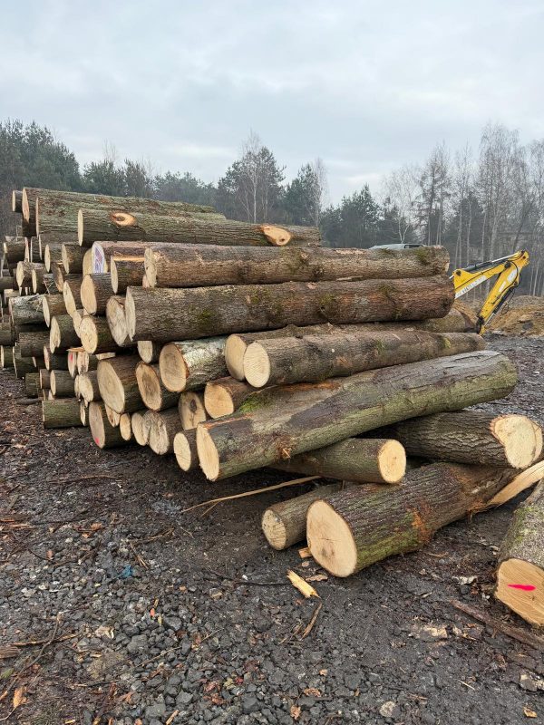 LIME TIMBER ROUND WITH BARK 