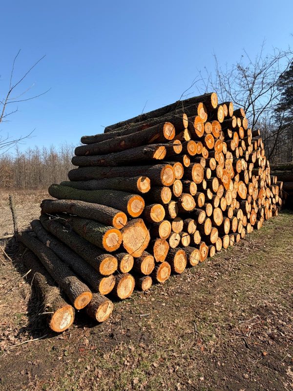 ROUND ALDER WOOD WITH BARK 
