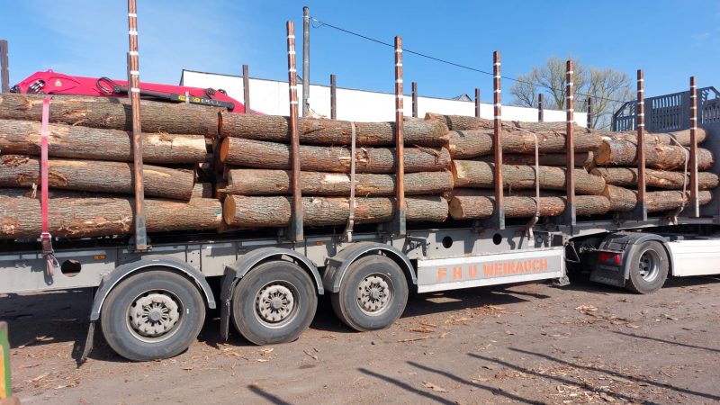 ROUND OAK WOOD WITH BARK 