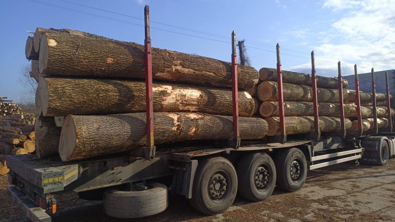 ROUND ASH WOOD WITH BARK 