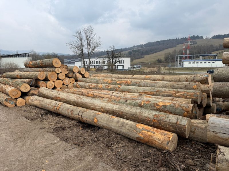 ROUND BEECHWOOD WITH BARK 