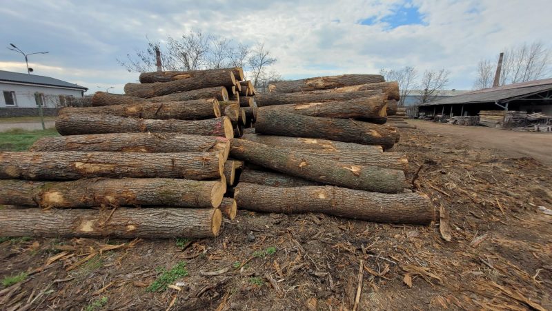 ROUND OAK WOOD WITH BARK 