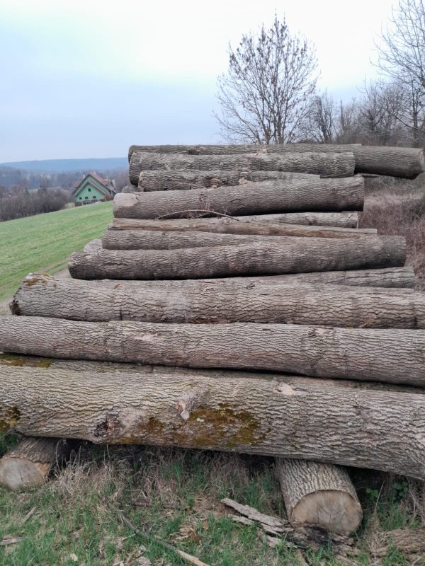 ROUND ASH WOOD WITH BARK 