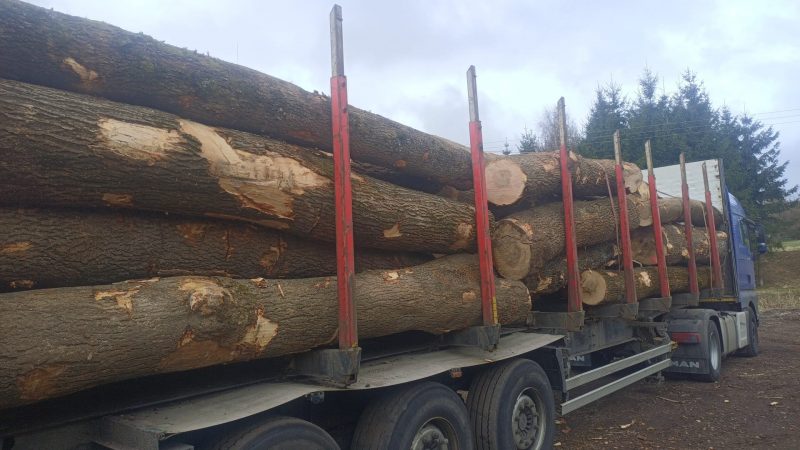 ROUND ASH WOOD WITH BARK 