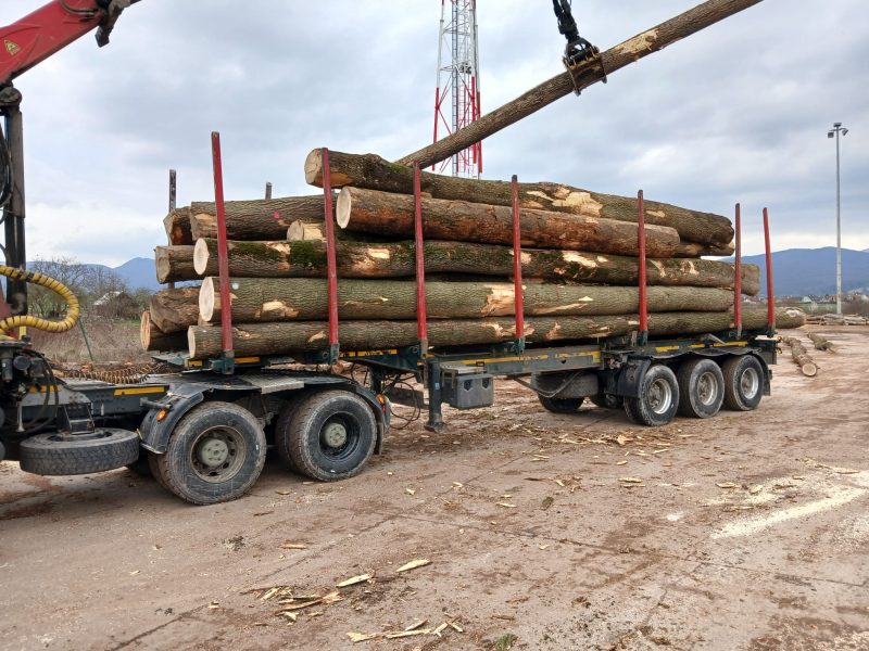 ROUND ASH WOOD WITH BARK 
