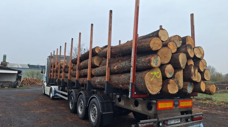 ROUND OAK WOOD WITH BARK 
