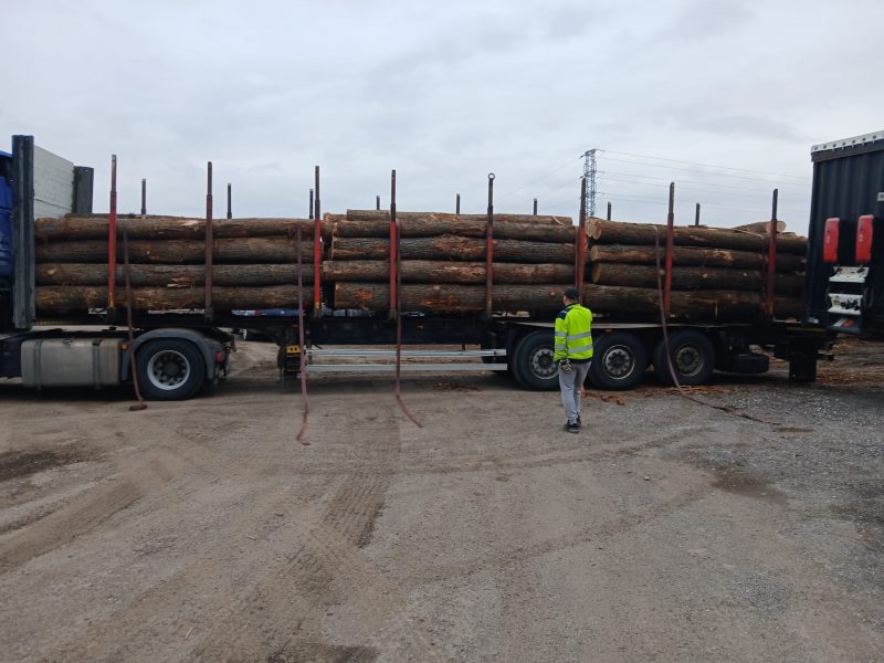 ROUND OAK WOOD WITH BARK 