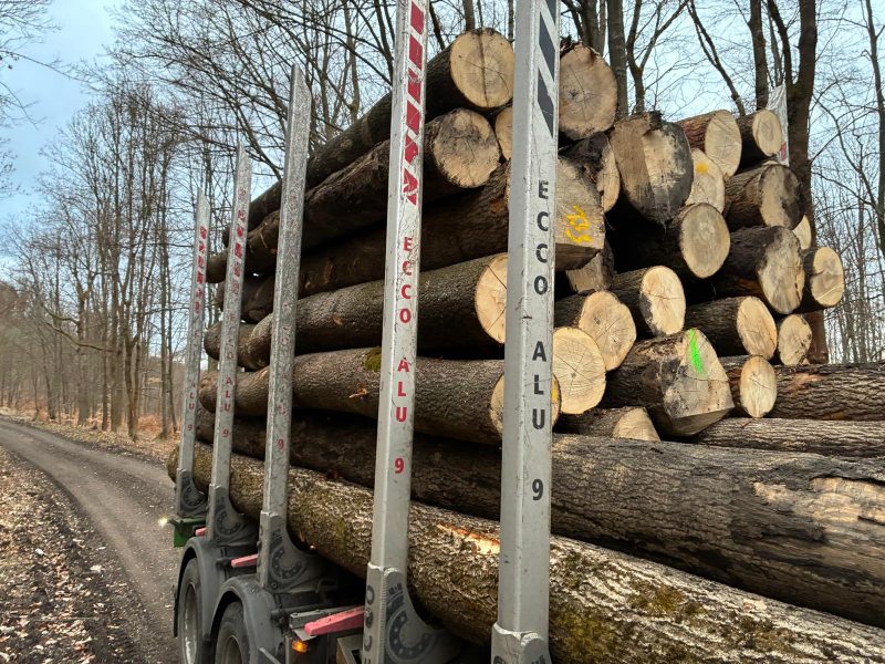 ROUND ASH WOOD WITH BARK 