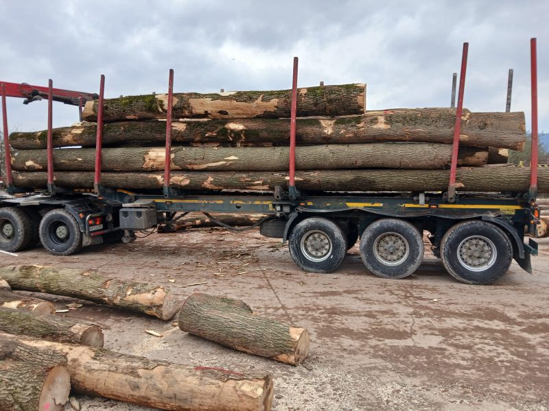 ROUND ASH WOOD WITH BARK 