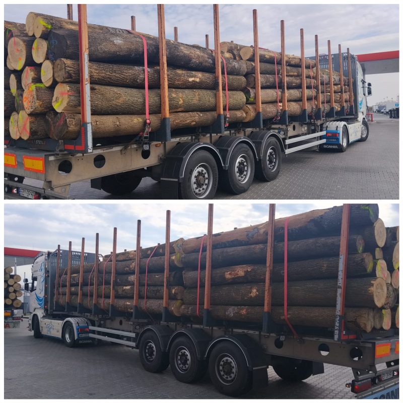 ROUND ASH WOOD WITH BARK 