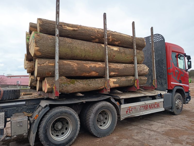 ROUND ASH WOOD WITH BARK 