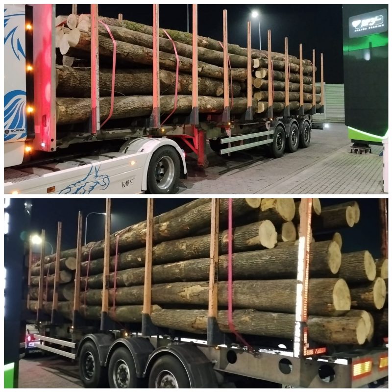 ROUND ASH WOOD WITH BARK 