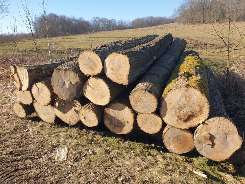 ROUND ASH WOOD WITH BARK 