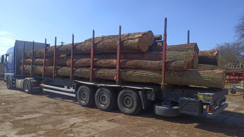 ROUND OAK WOOD WITH BARK 