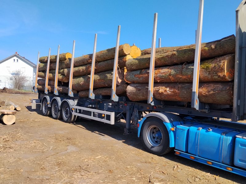 ROUND OAK WOOD WITH BARK 