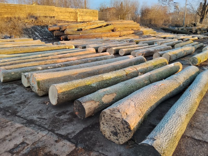 ROUND ASH WOOD WITH BARK 