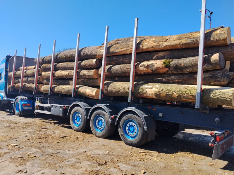 ROUND ASH WOOD WITH BARK 