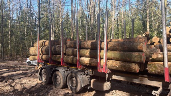 ROUND ASH WOOD WITH BARK