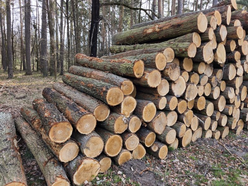 ROUND OAK WOOD WITH BARK 