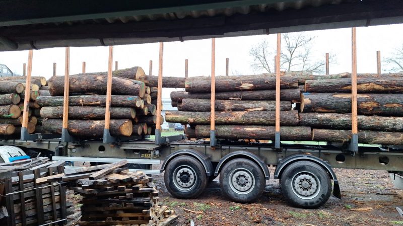 ROUND OAK WOOD WITH BARK 