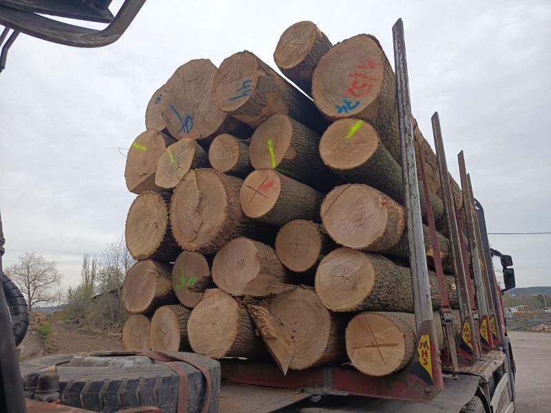 ROUND ASH WOOD WITH BARK 