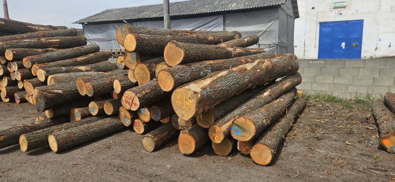 ROUND OAK WOOD WITH BARK 