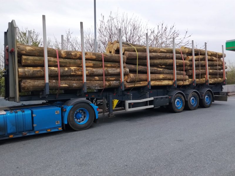 ROUND ASH WOOD WITH BARK 