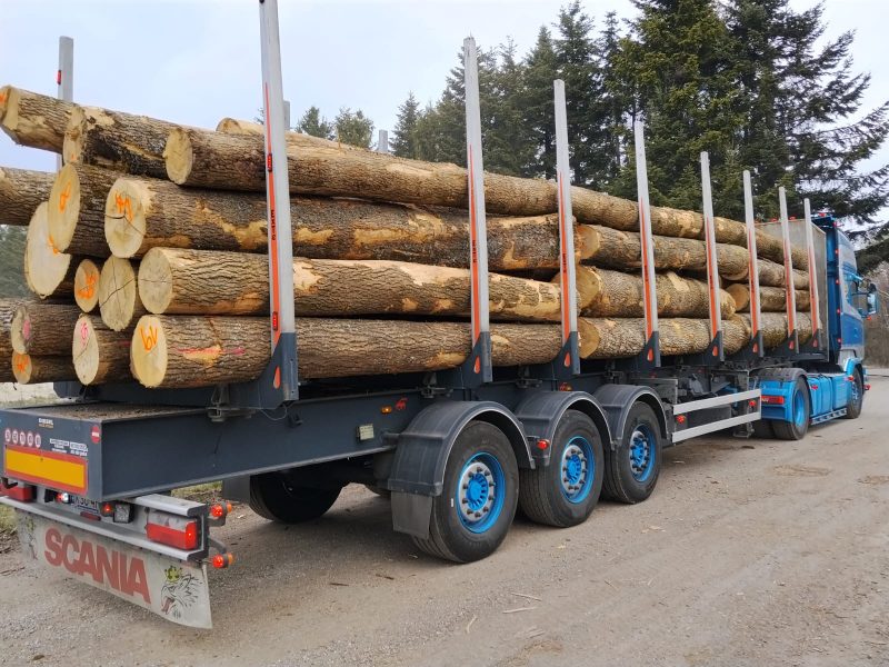 ROUND ASH WOOD WITH BARK 