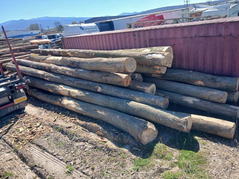 ROUND ASH WOOD WITH BARK 