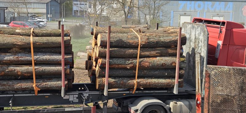 ROUND OAK WOOD WITH BARK 