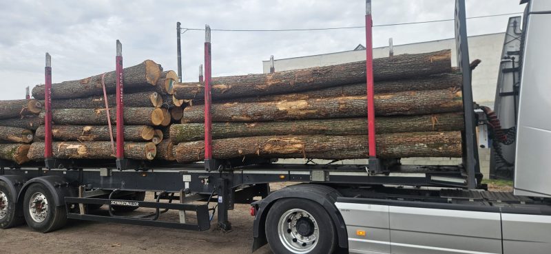 ROUND OAK WOOD WITH BARK 