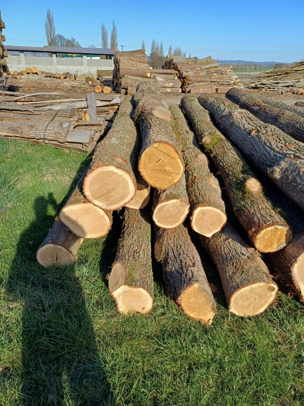 ROUND OAK WOOD WITH BARK 