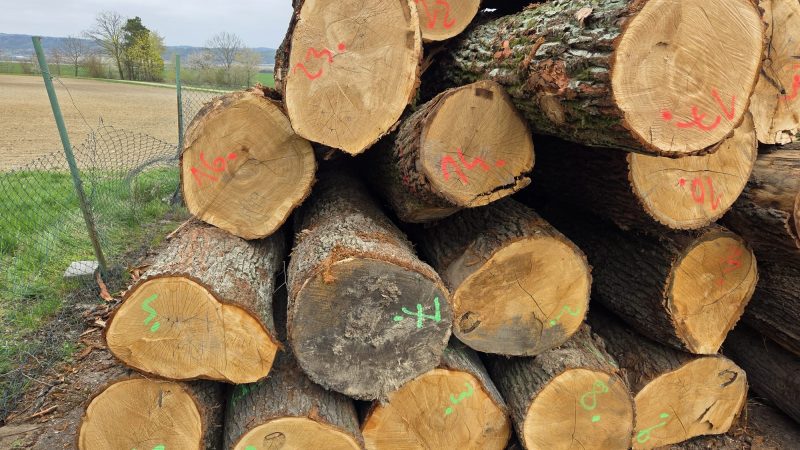 ROUND OAK WOOD WITH BARK 