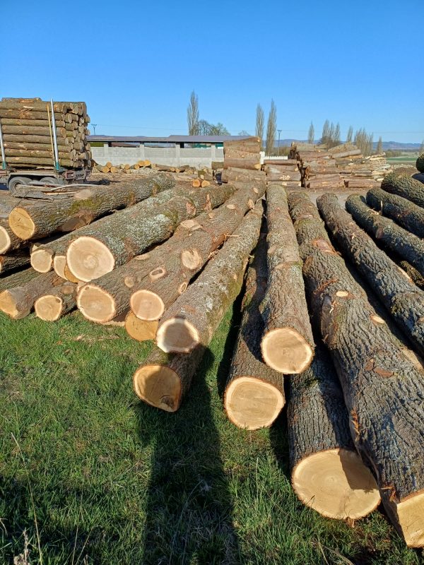 ROUND OAK WOOD WITH BARK 