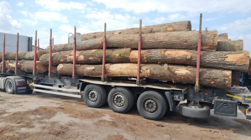 ROUND OAK WOOD WITH BARK 