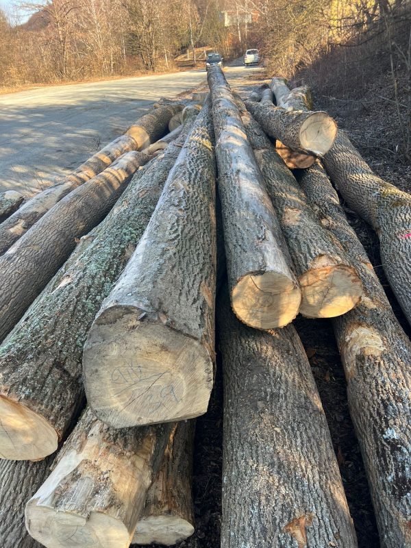 ROUND ASH WOOD WITH BARK 