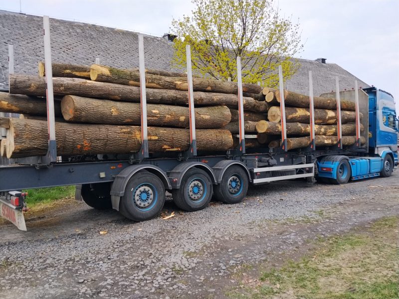 ROUND ASH WOOD WITH BARK 