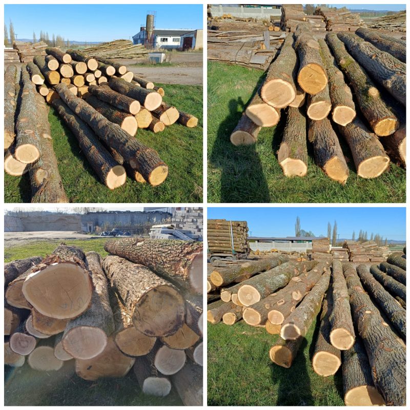 ROUND OAK WOOD WITH BARK 