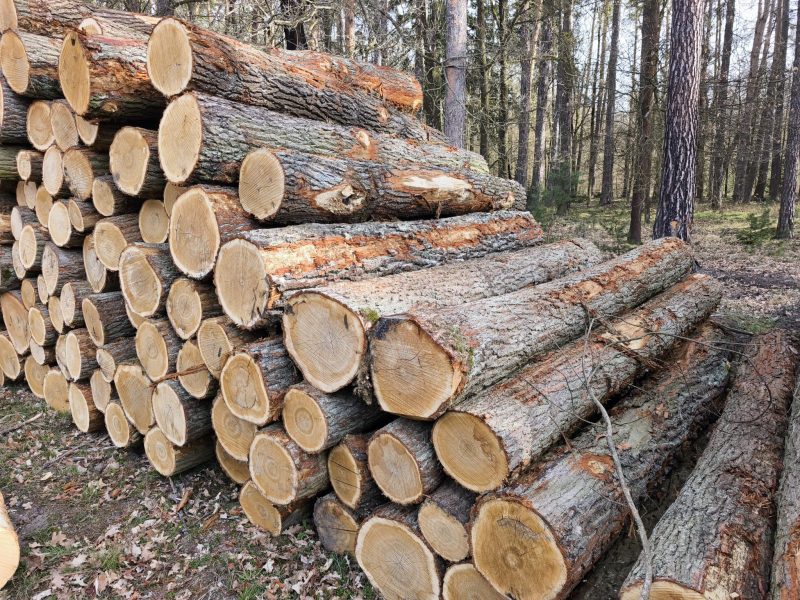 ROUND OAK WOOD WITH BARK 