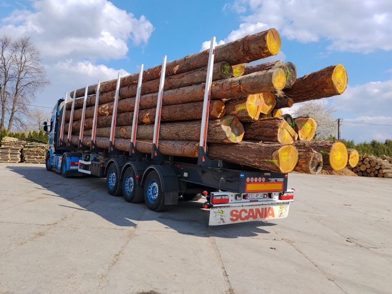 LARCH WOOD ROUND WITH BARK 