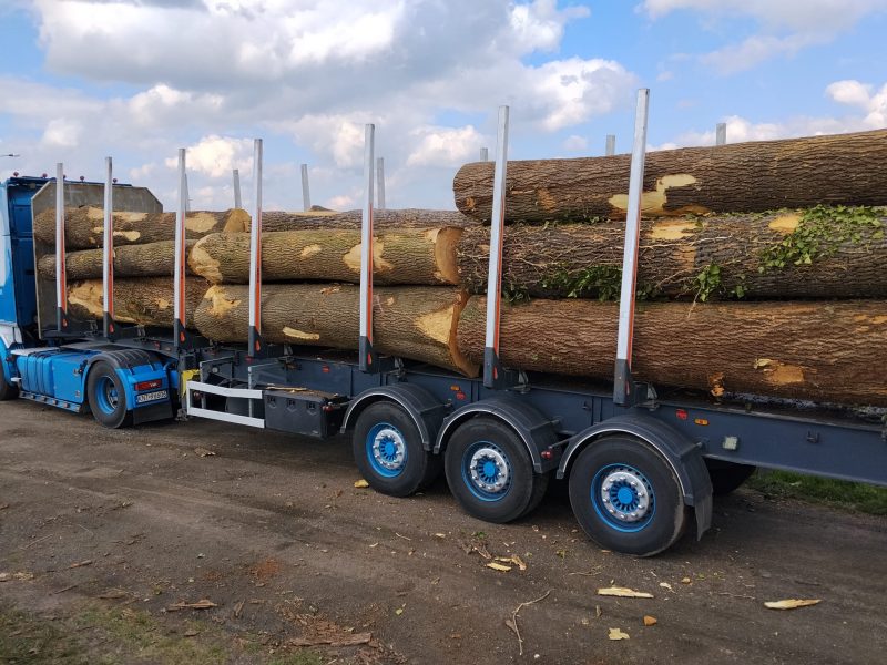 ROUND ASH WOOD WITH BARK 