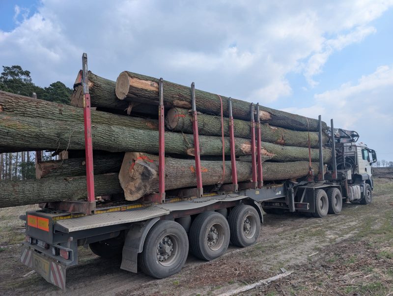 ROUND OAK WOOD WITH BARK 