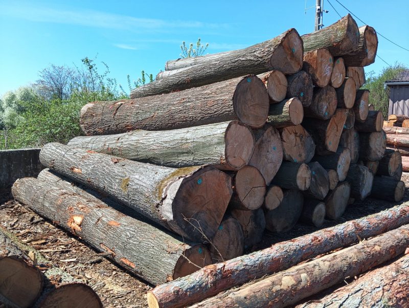ROUND OAK WOOD WITH BARK 
