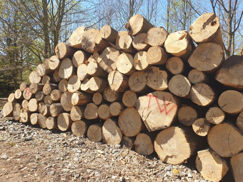 ROUND ASH WOOD WITH BARK 