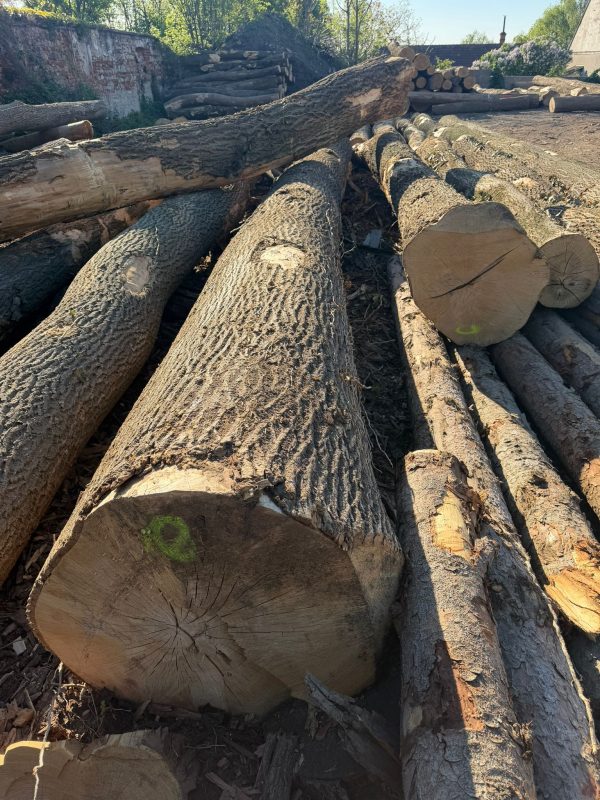 ROUND ASH WOOD WITH BARK 