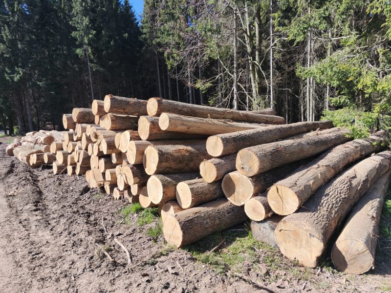 ROUND OAK WOOD WITH BARK 