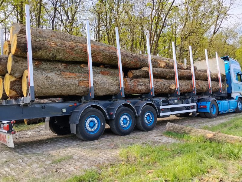 ROUND OAK WOOD WITH BARK 