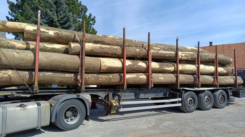 ROUND ASH WOOD WITH BARK 